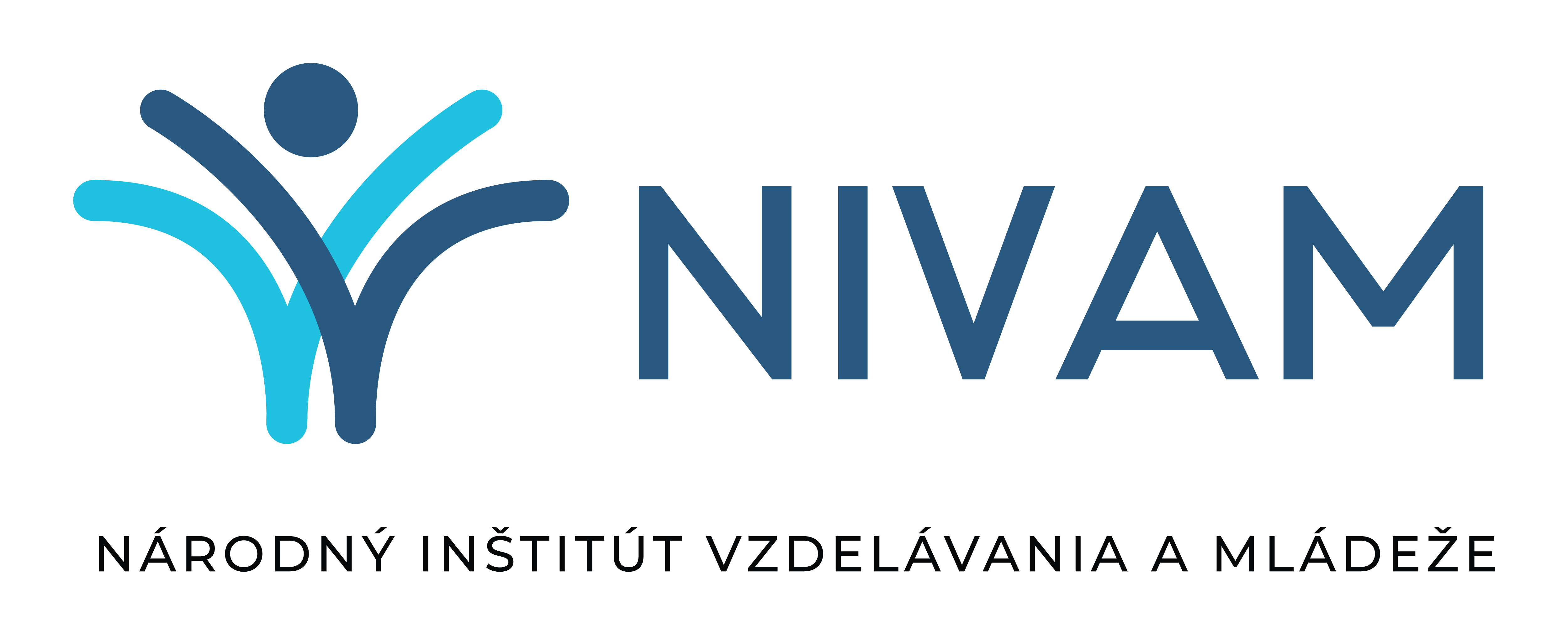 NIVaM logo for light theme